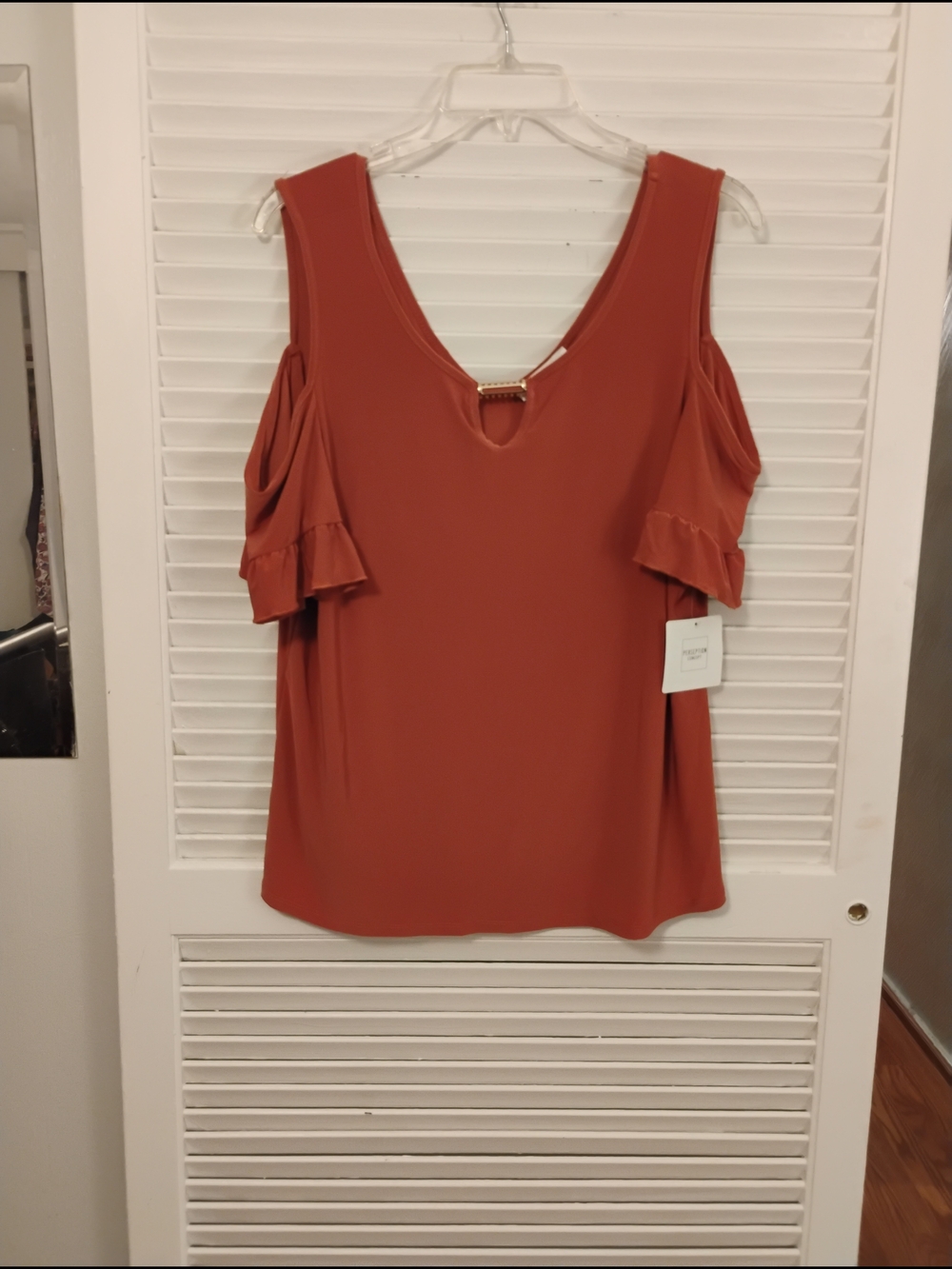 PerSeption Concept Rust Red Cold-Shoulder Ruffle V-Neck Top - Picture 2 of 7